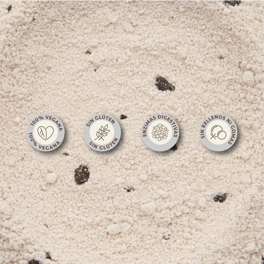 Daylo Protein Chocolate